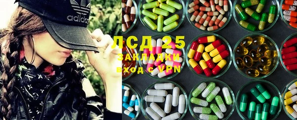 шишки Алексин