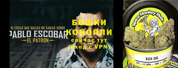 шишки Алексин
