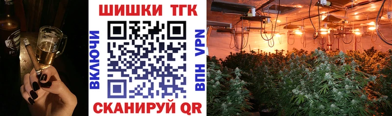 Канабис ГИДРОПОН  наркотики  Большой Камень 
